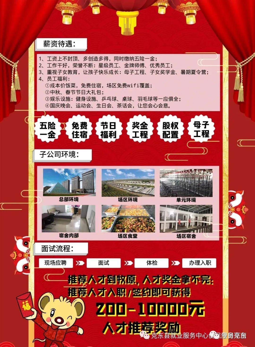 克东县发展和改革局最新招聘公告发布