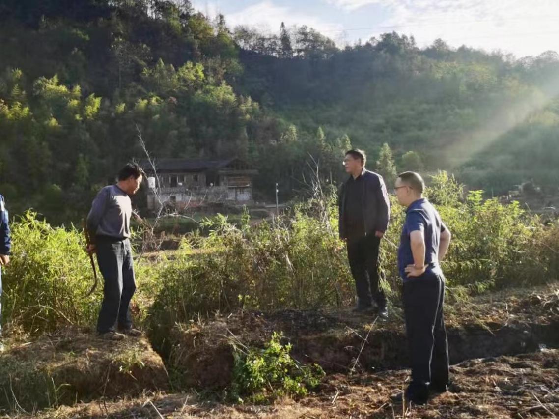 芷江侗族自治县市场监督管理局发布最新动态