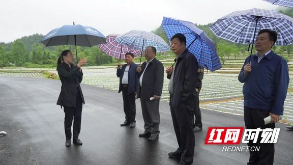 洛塔乡迈向繁荣和谐未来的最新发展规划